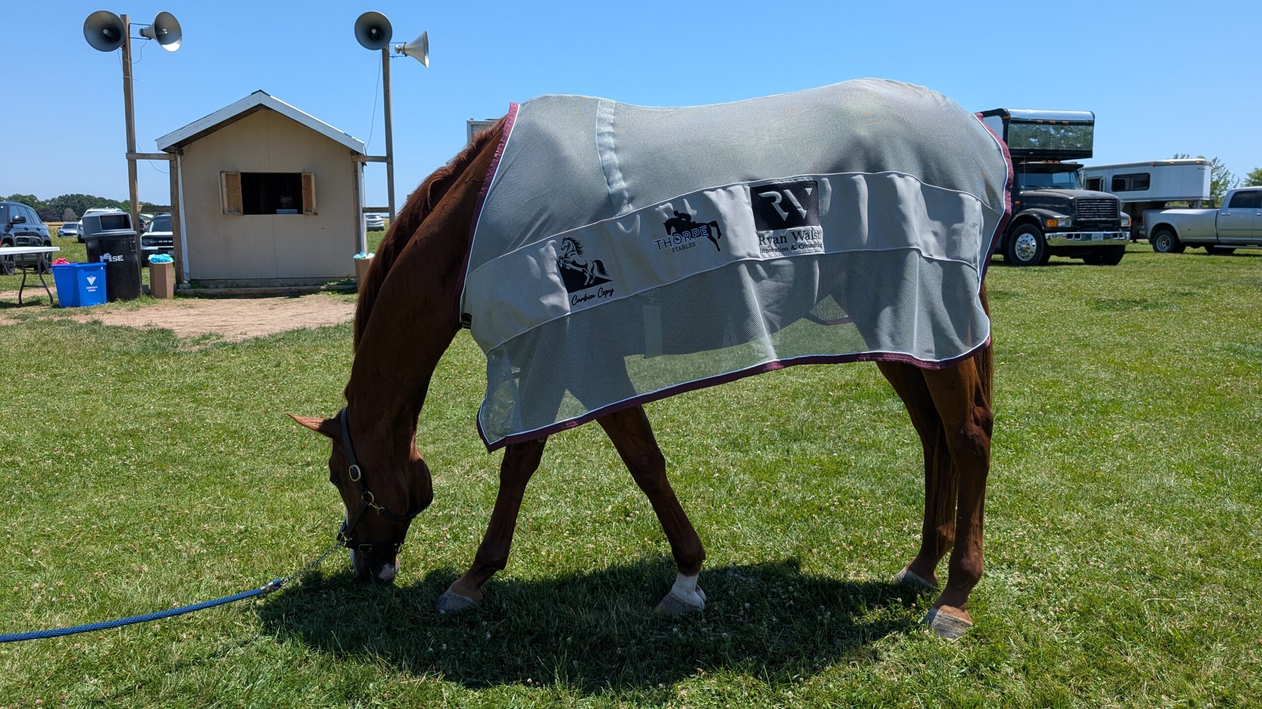 Creative Advertising, Community, and Collaboration